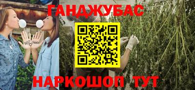 гашик Гусь-Хрустальный