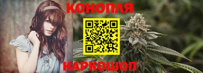 стаф Гусев