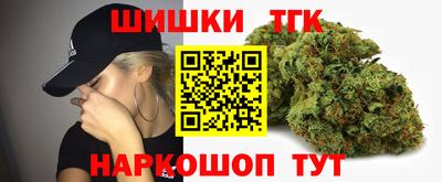 гашик Гусь-Хрустальный