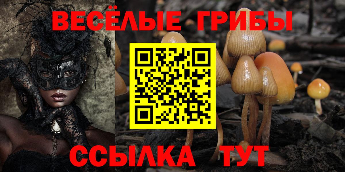 Псилоцибиновые грибы GOLDEN TEACHER Мирный